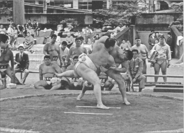 Иллюстрация к книге — Камикадзе. "Божественный ветер" в истории Японии [i_267.jpg]