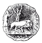 Иллюстрация к книге — Здесь был Рим. Современные прогулки по древнему городу [i_009.jpg]