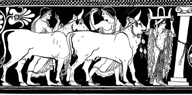 Иллюстрация к книге — Здесь был Рим. Современные прогулки по древнему городу [i_043.jpg]