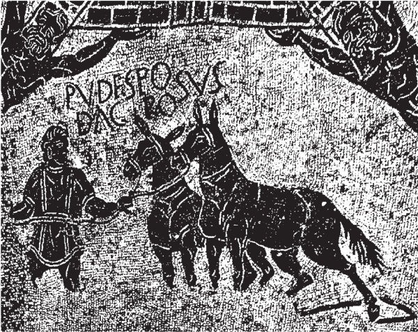 Иллюстрация к книге — Здесь был Рим. Современные прогулки по древнему городу [i_216.jpg]