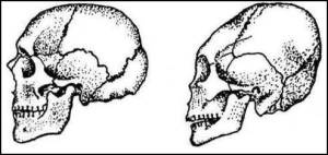 Иллюстрация к книге — Сарматы. Древний народ юга России [i_008.jpg]