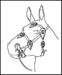 Иллюстрация к книге — Сарматы. Древний народ юга России [i_070.jpg]