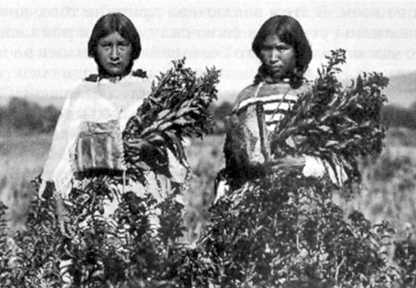 Иллюстрация к книге — Наделенные силой. Тайны индейских шаманов [_047.jpg]