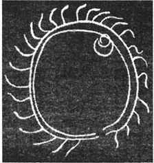 Иллюстрация к книге — Мистерия Сириуса [i_076.jpg]