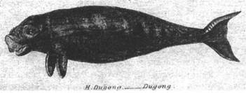 Иллюстрация к книге — Мистерия Сириуса [i_081.jpg]