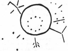 Иллюстрация к книге — Мистерия Сириуса [i_087.jpg]