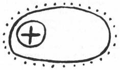 Иллюстрация к книге — Мистерия Сириуса [i_090.jpg]