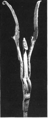 Иллюстрация к книге — Мистерия Сириуса [i_102.jpg]