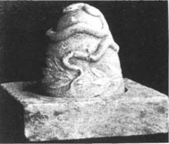 Иллюстрация к книге — Мистерия Сириуса [i_108.jpg]