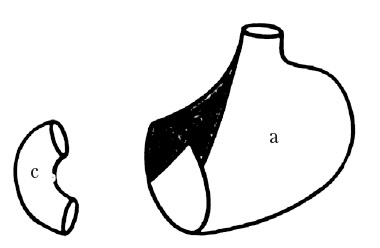 Иллюстрация к книге — Век хирургов [_32.jpg]