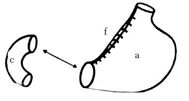 Иллюстрация к книге — Век хирургов [_33.jpg]