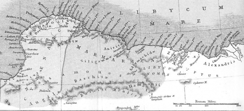 Иллюстрация к книге — Неизбирательное сродство [i_003.jpg]