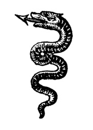 Иллюстрация к книге — Неизбирательное сродство [i_030.jpg]