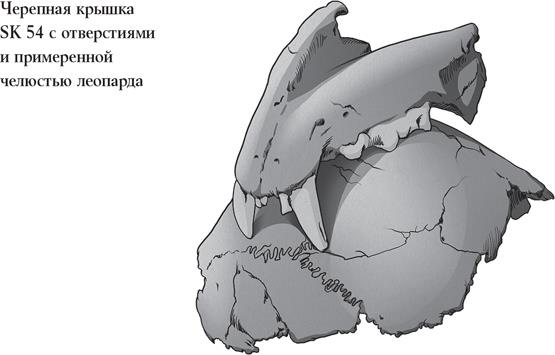 Иллюстрация к книге — Байки из грота. 50 историй из жизни древних людей [i_005.jpg]