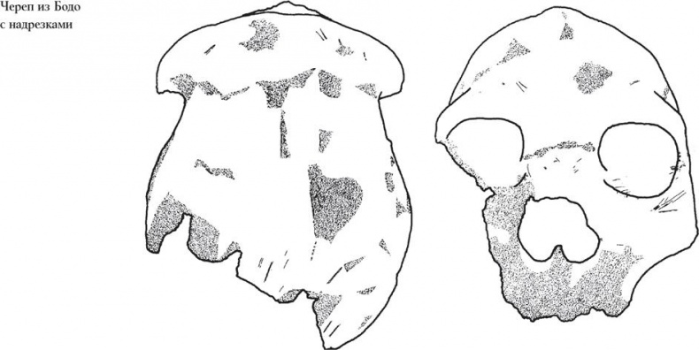 Иллюстрация к книге — Байки из грота. 50 историй из жизни древних людей [i_010.jpg]