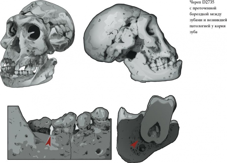 Иллюстрация к книге — Байки из грота. 50 историй из жизни древних людей [i_014.jpg]