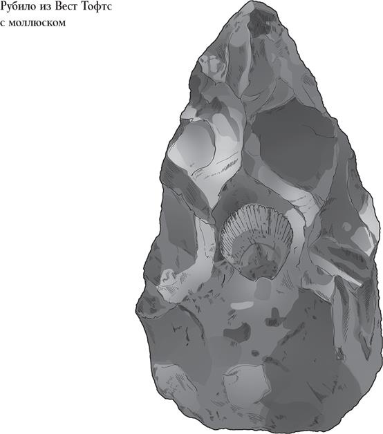 Иллюстрация к книге — Байки из грота. 50 историй из жизни древних людей [i_029.jpg]