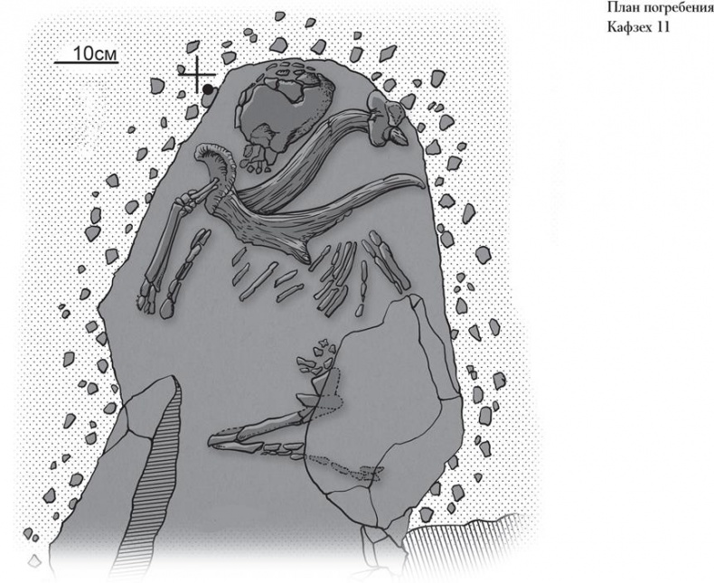 Иллюстрация к книге — Байки из грота. 50 историй из жизни древних людей [i_038.jpg]