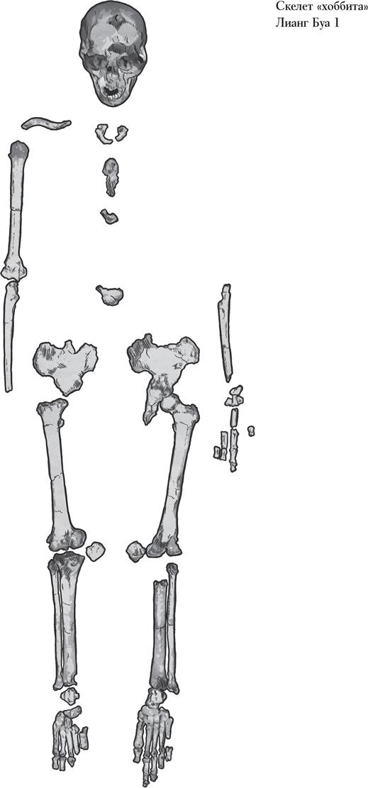 Иллюстрация к книге — Байки из грота. 50 историй из жизни древних людей [i_046.jpg]