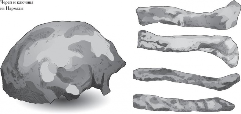 Иллюстрация к книге — Байки из грота. 50 историй из жизни древних людей [i_047.jpg]