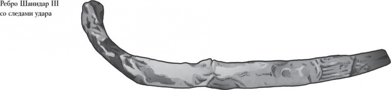 Иллюстрация к книге — Байки из грота. 50 историй из жизни древних людей [i_052.jpg]