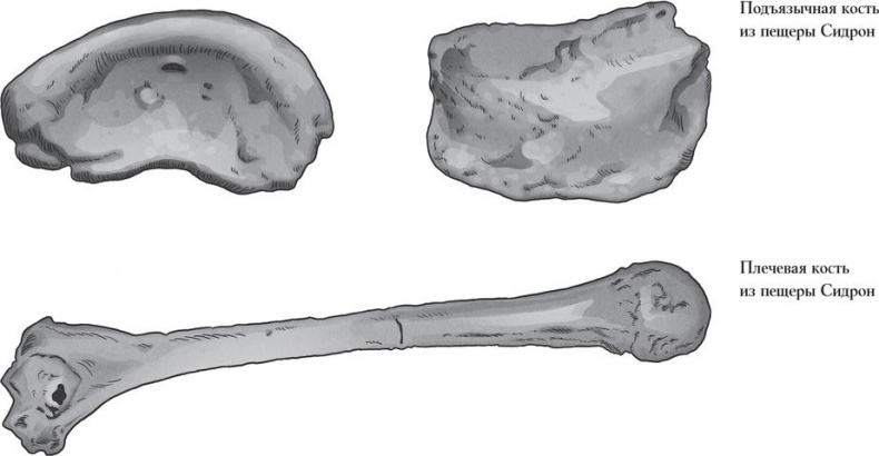 Иллюстрация к книге — Байки из грота. 50 историй из жизни древних людей [i_057.jpg]