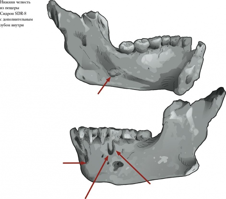 Иллюстрация к книге — Байки из грота. 50 историй из жизни древних людей [i_058.jpg]
