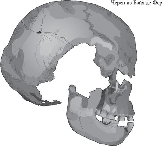 Иллюстрация к книге — Байки из грота. 50 историй из жизни древних людей [i_062.jpg]