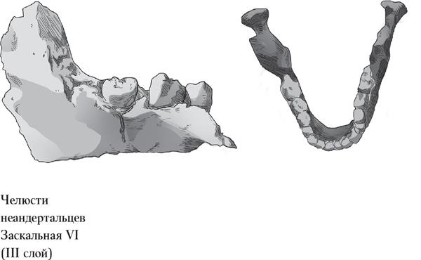 Иллюстрация к книге — Байки из грота. 50 историй из жизни древних людей [i_074.jpg]