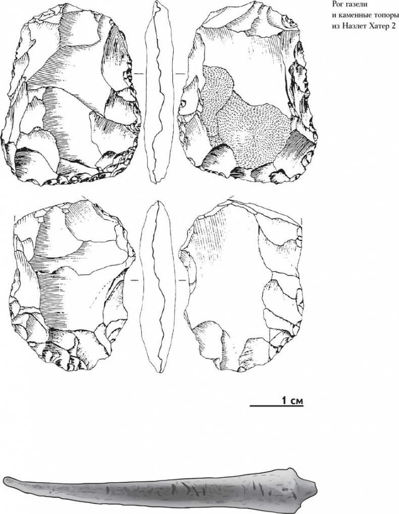 Иллюстрация к книге — Байки из грота. 50 историй из жизни древних людей [i_077.jpg]