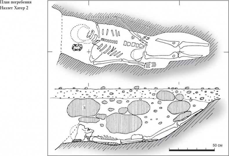 Иллюстрация к книге — Байки из грота. 50 историй из жизни древних людей [i_079.jpg]