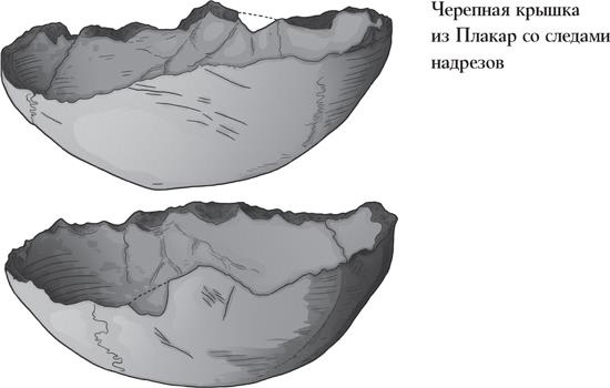 Иллюстрация к книге — Байки из грота. 50 историй из жизни древних людей [i_086.jpg]