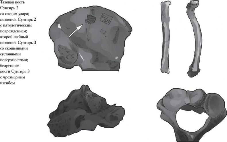 Иллюстрация к книге — Байки из грота. 50 историй из жизни древних людей [i_089.jpg]