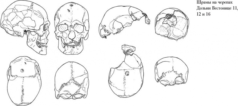 Иллюстрация к книге — Байки из грота. 50 историй из жизни древних людей [i_098.jpg]