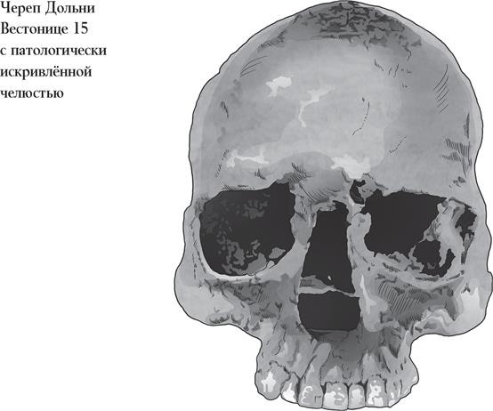 Иллюстрация к книге — Байки из грота. 50 историй из жизни древних людей [i_099.jpg]