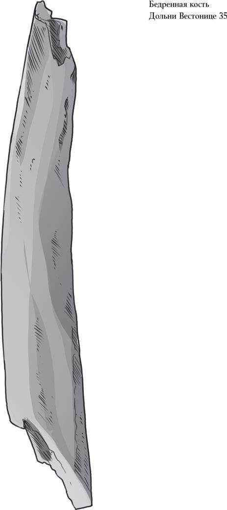 Иллюстрация к книге — Байки из грота. 50 историй из жизни древних людей [i_112.jpg]