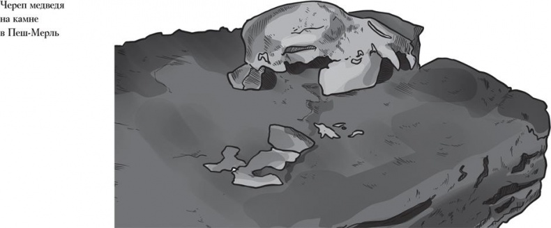 Иллюстрация к книге — Байки из грота. 50 историй из жизни древних людей [i_117.jpg]