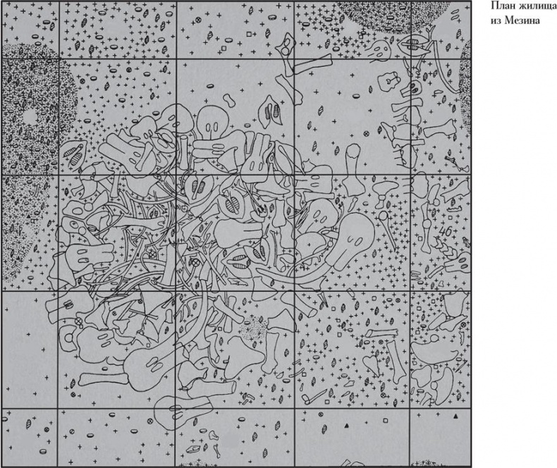 Иллюстрация к книге — Байки из грота. 50 историй из жизни древних людей [i_127.jpg]
