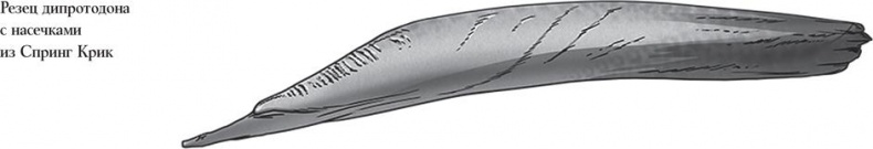 Иллюстрация к книге — Байки из грота. 50 историй из жизни древних людей [i_131.jpg]