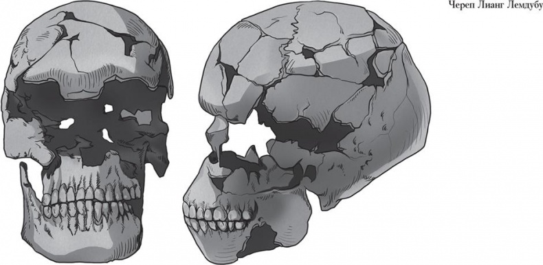 Иллюстрация к книге — Байки из грота. 50 историй из жизни древних людей [i_134.jpg]