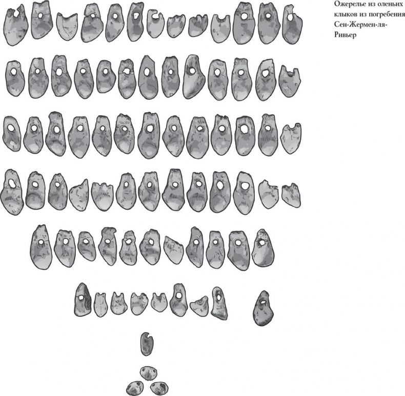 Иллюстрация к книге — Байки из грота. 50 историй из жизни древних людей [i_140.jpg]
