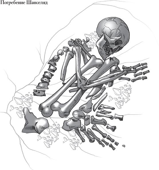 Иллюстрация к книге — Байки из грота. 50 историй из жизни древних людей [i_143.jpg]