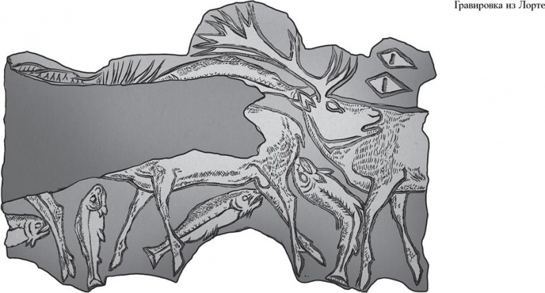 Иллюстрация к книге — Байки из грота. 50 историй из жизни древних людей [i_150.jpg]