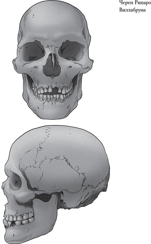 Иллюстрация к книге — Байки из грота. 50 историй из жизни древних людей [i_162.jpg]