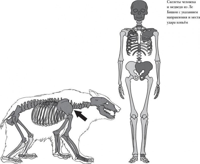 Иллюстрация к книге — Байки из грота. 50 историй из жизни древних людей [i_170.jpg]