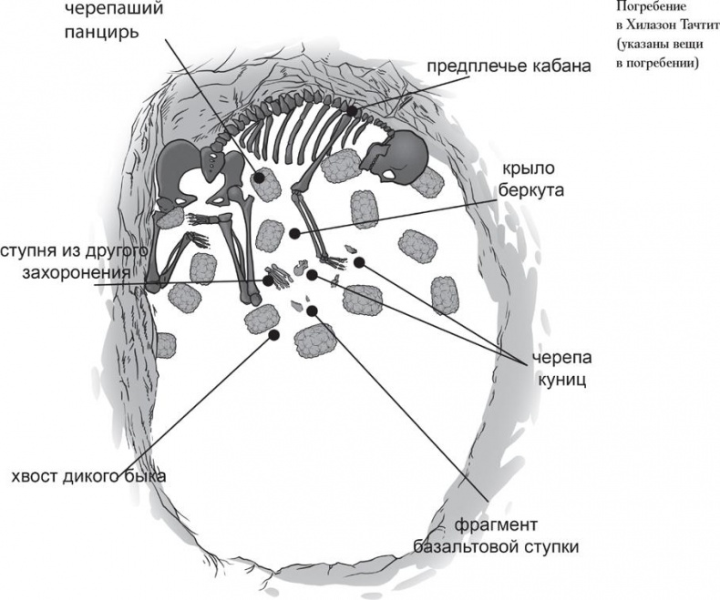 Иллюстрация к книге — Байки из грота. 50 историй из жизни древних людей [i_176.jpg]