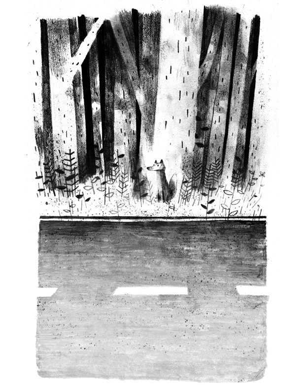 Иллюстрация к книге — Пакс [i_002.jpg]