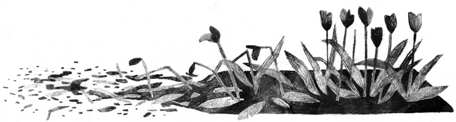 Иллюстрация к книге — Пакс [i_007.jpg]