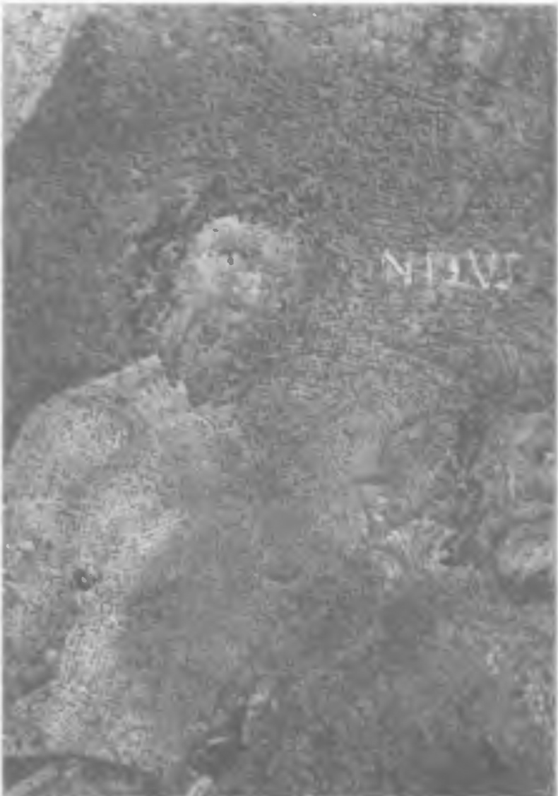 Иллюстрация к книге — История древней Испании [img_47.jpg]