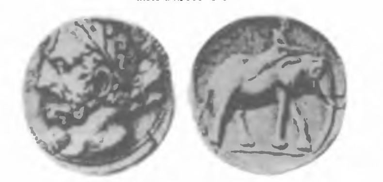 Иллюстрация к книге — История древней Испании [img_8.jpg]